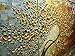 V-inspire Art, Golden Flower Paintings,3D Abstract Paintings Oil Hand Painting On Canvas Wood Inside Framed Ready to Hang Wall Decoration For Living Room Bed Room (24W*36L*3)
