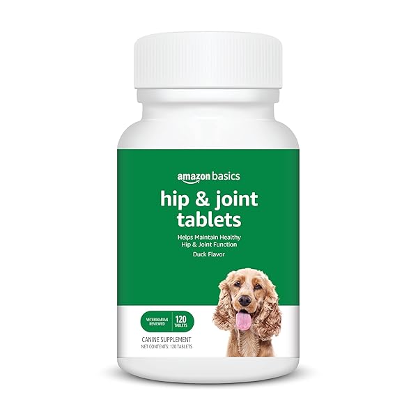 AMAZON BASICS DOG HIP & JOINT DAILY CHEWABLE TABLETS, WITH GLUCOSAMINE, MSM, AND CHONDROITIN, DUCK FLAVORED, 120 COUNT (PREVIOUSLY SOLIMO)