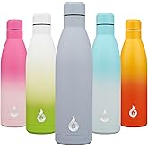 BJPKPK 25oz Insulated Stainless Steel Water Bottles Reusable Metal Travel Sports Water Bottle Keep Cold and Hot,Mist Grey
