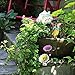 Mood Lab Fairy Garden - Figurines and Accessories Kit - Hand Painted Miniature Arch Set of 5 pcs for Outdoor or House Decor