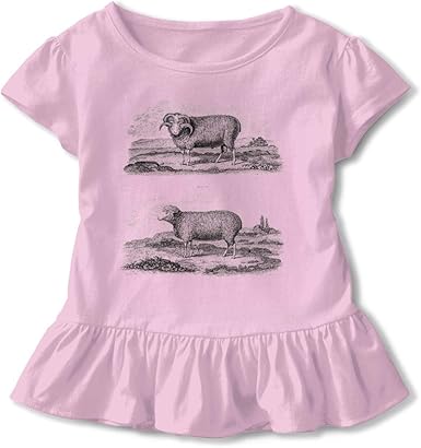 sheep baby clothes