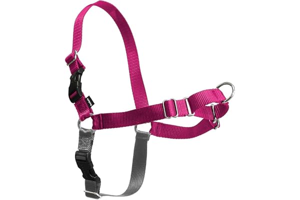 PetSafe Easy Walk Dog Harness, No Pull Dog Harness, Raspberry/Gray, Large