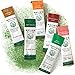 Individual Premium Matcha Green Tea To Go Packets, Sweetened with Real Fruit (The Everything Pack) (6 single serving packets)