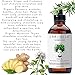 Laritelle Organic Hair Loss Prevention for Men and Women, Strengthening and Rejuvenating, Prevents Hair Shedding, Promotes Hair Growth, Rosemary, Ginger, Grapefruit, NO GMO, Vegan, 4 oz