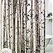 CrazyLynX Birch Tree Shower Curtain Mildew Resistant,Water-Repellent & Antibacterial,with 12 Plastic Rings 72x72inch