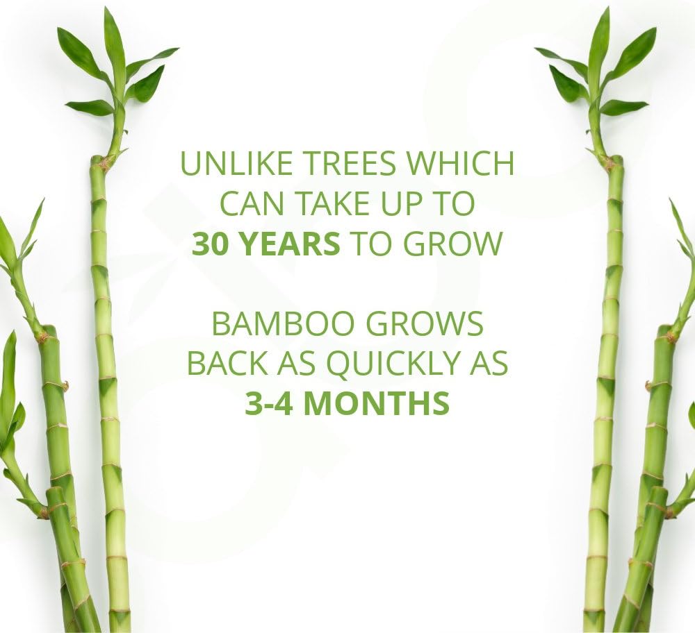 Caboo Tree Free Bamboo Facial Tissue Paper, Eco Friendly Hypoallergenic Tissue Box with 90 Sheets Per Cube, Total of 6 Cubes, 540 Total Tissues: Health & Personal Care