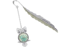 Jeffdad Fantasy Luminous Bookmark Gifts for Women Girls, Cool Glow in The Dark Butterfly & Owl Bookmarks (Silver)