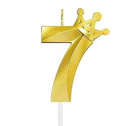 Number 7 Birthday Candle Seven Years Old Happy