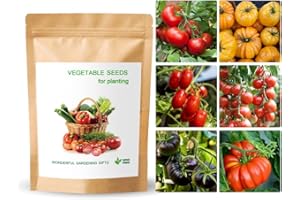 300+ Tomato Seeds, Heirloom Vegetable Seed for Planting Indoor Outdoor, 6 Varieties Salad Tomato Seeds Garden Hydroponic Kit 