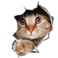 Winston & Bear 3D Cat Stickers 2 Pack - Peeking Cat Sticker for Wall, Fridge, Toilet and More - Retail Packaged Tabby Cat Decals