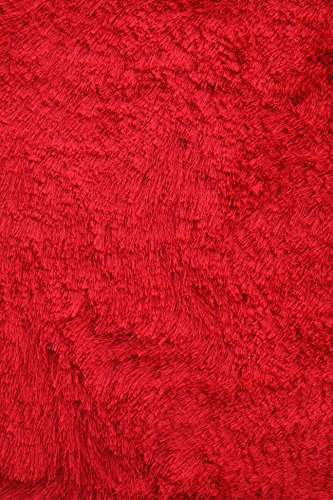 Noble House CRYS260846 Crystal Area Rug, Red, 4' x 6'