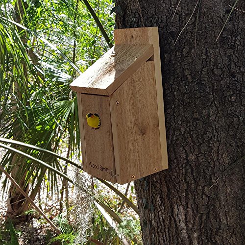 Bird House Red Robin, Bluebird, Purple Martin, Finch, Cardinal Bird