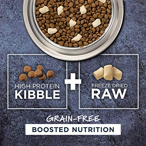 INSTINCT RAW BOOST, NATURAL DRY CAT FOOD WITH FREEZE DRIED PIECES, HIGH PROTEIN, GRAIN FREE RECIPE – REAL SALMON, 4.5 LB. BAG