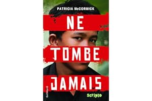 Ne tombe jamais (French Edition)