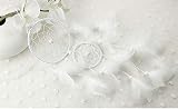 Fictory KO5F White Dream Catcher Acrylic Home Decor view 6