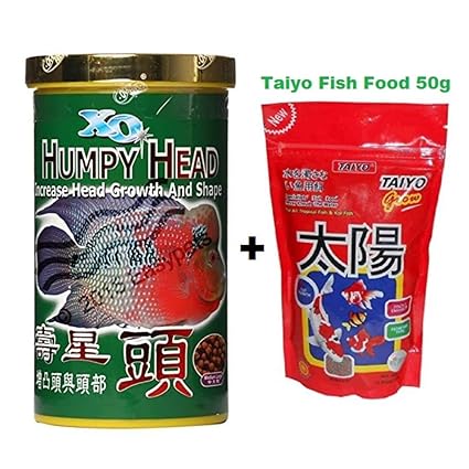 live fish food online