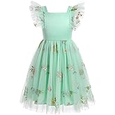 Floral Embroidered Dress for Girls Ruffle Sleeve Formal Birthday Wedding Pageant Party Tulle Dresses
