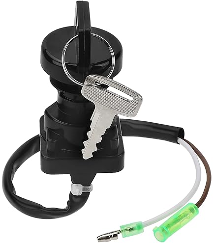 Amazon.com: Genuine OEM For Kawasaki 45296 ZRX1200 NINJA ZX-12R