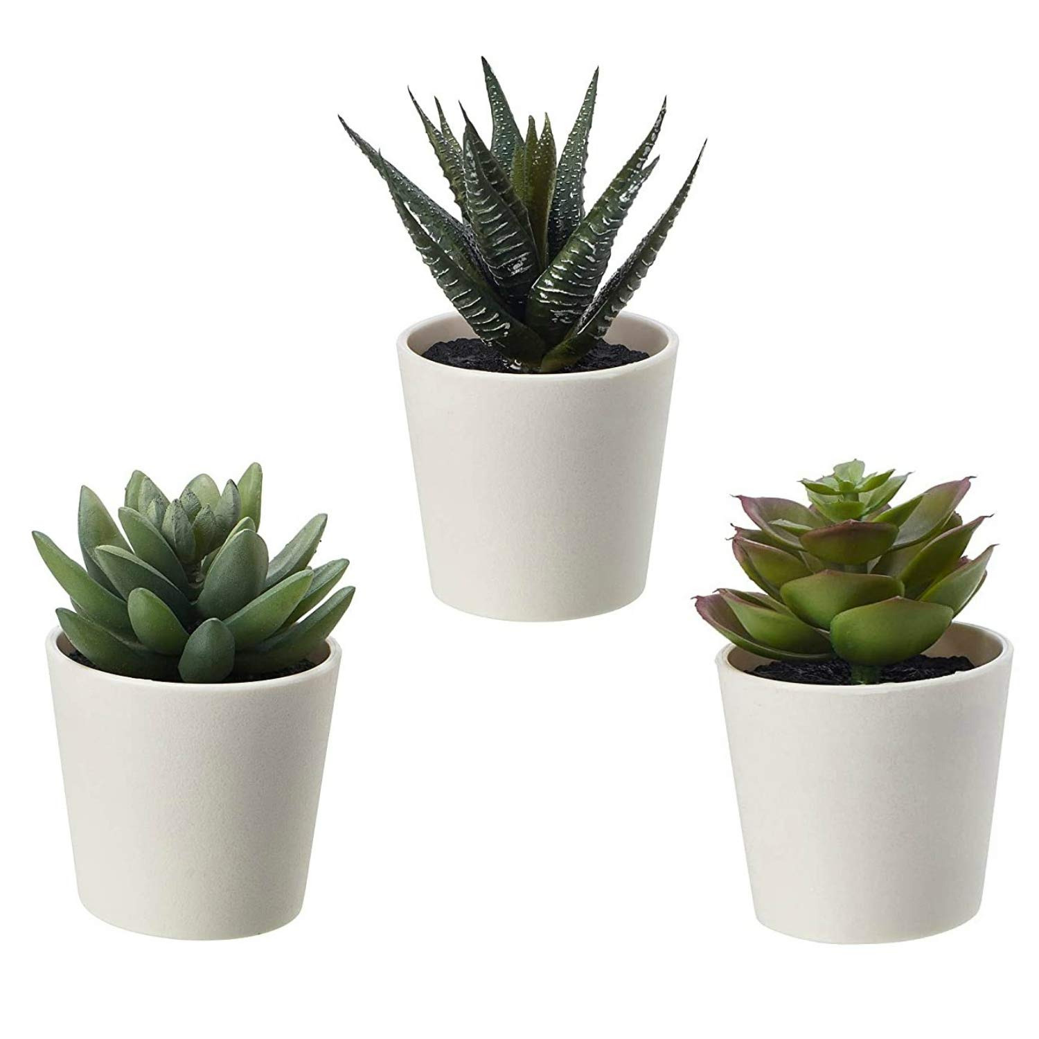 cinagro planter