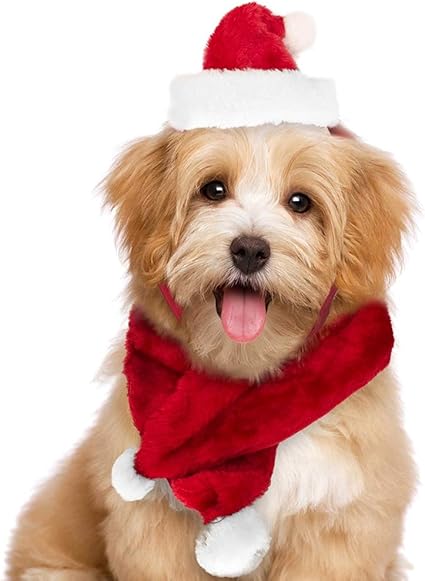 Immagini Animali E Natale.Christmas Set Sciarpa E Cappello Babbo Natale Per Cani E Gatti Di Piccola Taglia Rosso E Bianco Amazon It Prodotti Per Animali Domestici