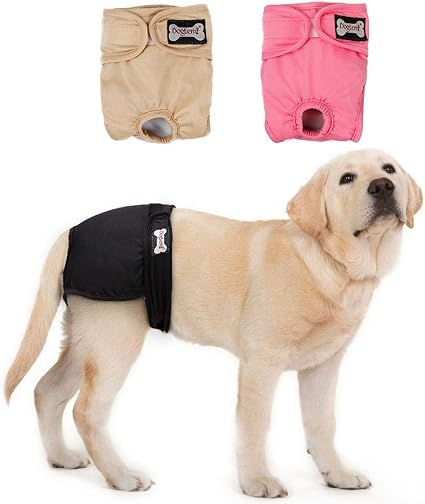 Doglemi Wasbare Luiers Voor Vrouwelijke Honden 3 Stuks Hygienische Onderbroek Voor Honden Verkrijgbaar In 5 Maten Van Xs Tot Xl Voor Alle Honden Xs 16 22 Cm Amazon Nl