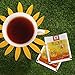TAE TEA Chrysanthemum Tea Bags - Pu'er Tea with Chrysanthemum, Chinese Black Tea - Pu erh Tea Bag - Pu er Fermented Tea Bags, 25 Count Individually Wrapped for Weight Loss