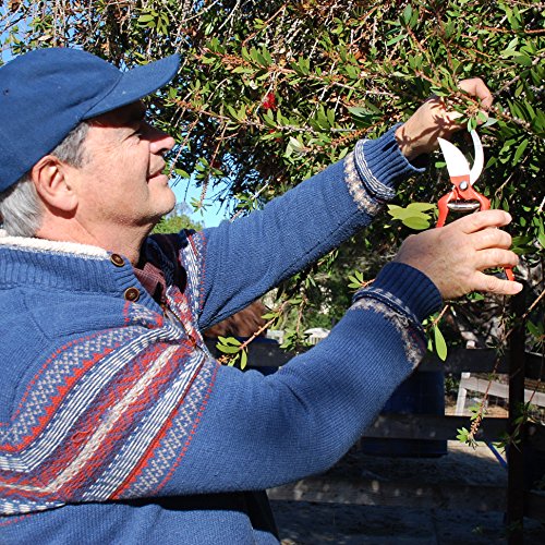 Professional Pruning Shears - Best Heavy Duty Hand Pruners for Serious Gardening - Versatile, Ergonomic, Razor Sharp Steel Garden Clippers, Tree Trimmers + Holster! - Image 6