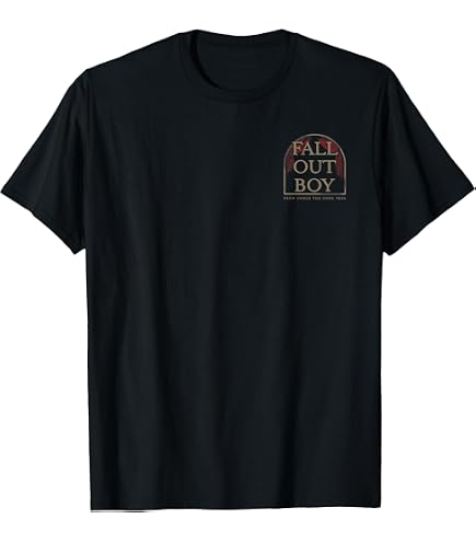Amazon.com: Fall Out Boy - Split Flag T-Shirt : Clothing, Shoes