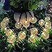 Nasharia 60 LEDs Solar Globe String Lights, 36FT Bubble Crystal Ball Fairy Lights Waterproof Outdoor Decorative String Lights for Garden Courtyard Home Patio Lawn Party Holiday,8 Modes and Warm White