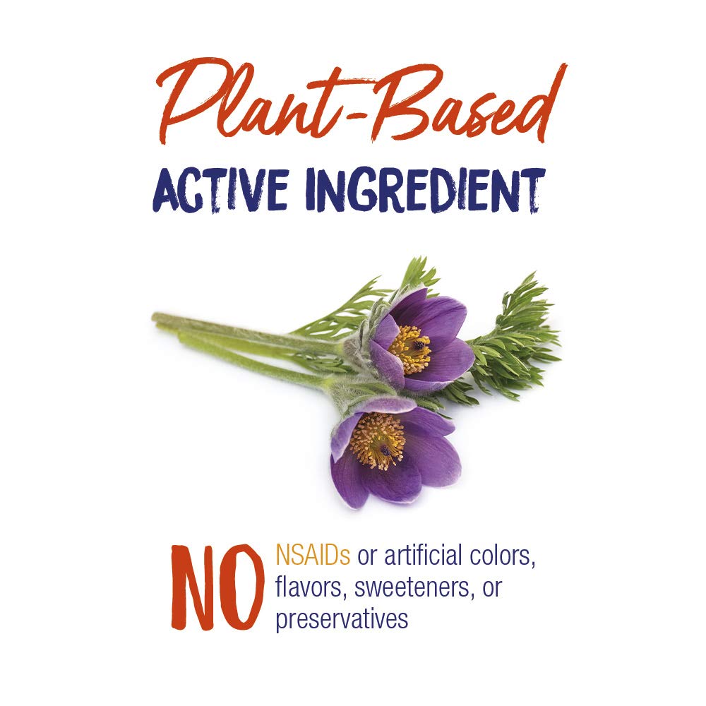 Boiron Pulsatilla 30C Homeopathic Medicine for Relief from Cold, Nasal Congestion, Thick Mucus, and Cough - 3 Count (240 Pellets)