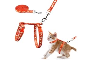 BAEUPPIT Cat Harness and Leash Set Gold Moons Soft Nylon Escape Proof Adjustable for Kittens Small Animals Glow in The Dark(Orange)