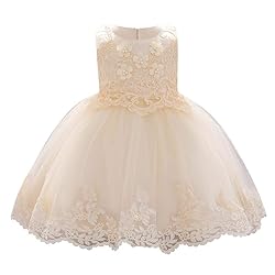 Baby Infant Formal Dress Flower Girl Wedding