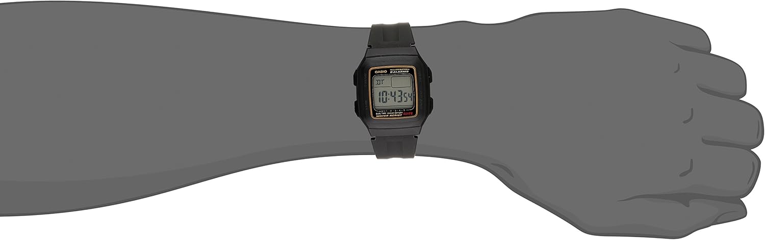 casio f201w
