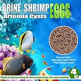 Brine Shrimp Eggs for Aquatic Foods Baby & Fry Foods The Popular 90% Hatch GSL Brine Shrimp Eggs
