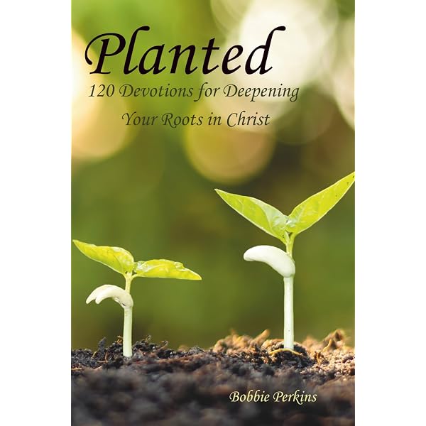 Amazon.com: Planting Seeds: What the Word of God Does for Our Lives:  9781546247357: Turner, Lenora: Books