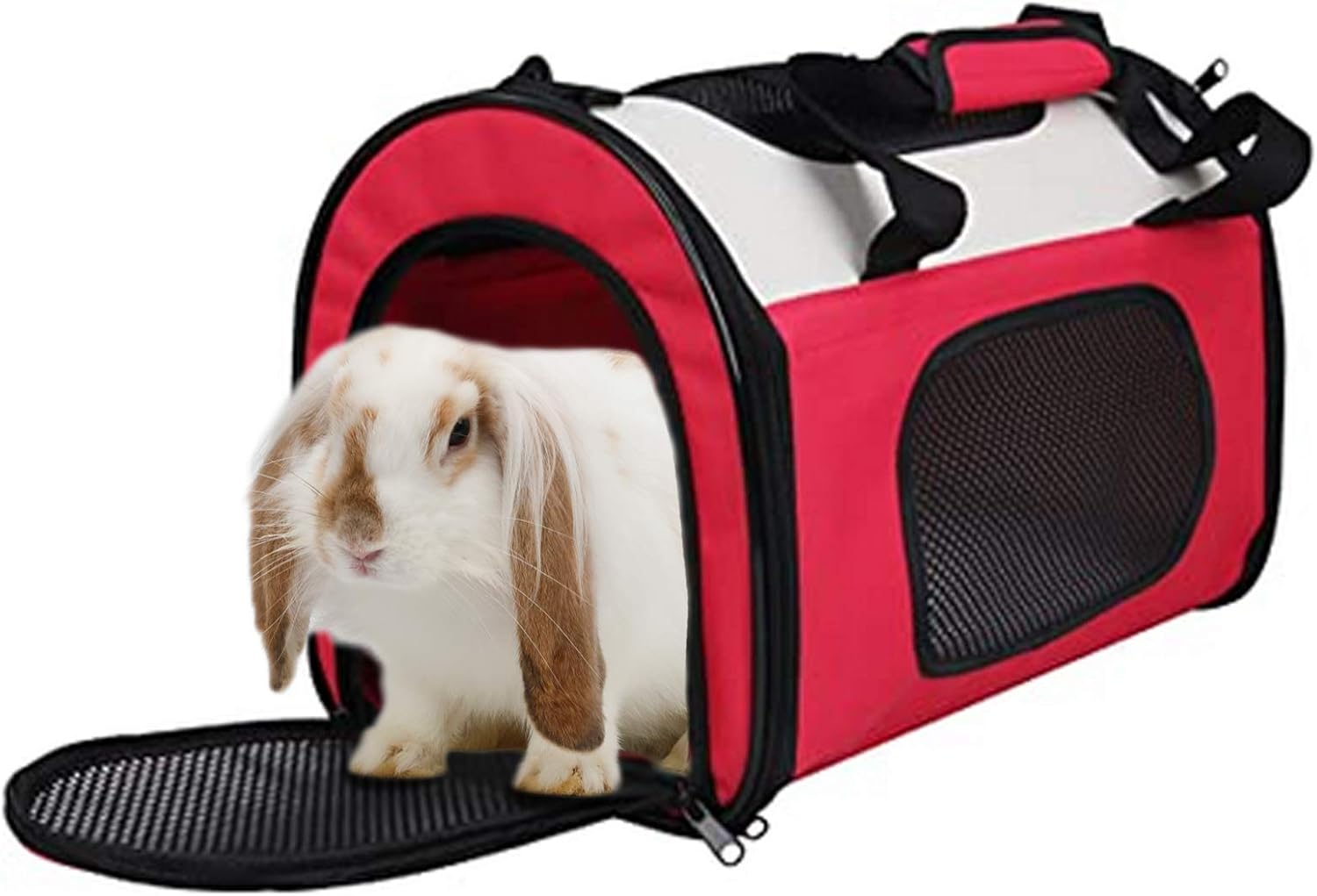 Petsfit Cage De Transport En Tissu Pliable Pour Chiens Et Chats Rouge 50cm X 29 Cm X 31 Cm Moyen Amazon Fr Animalerie Petsfit Cage De Transport En Tissu Pliable Pour Chiens Et Chats Rouge 50cm X 29 Cm X 31 Cm Moyen Amazon Fr Animalerie