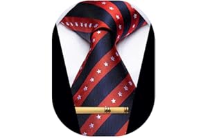 YourTies Men's Neckties Striped Tie and Plaid Neckties for Men Woven Silk Tie Gold Tie Clip Set
