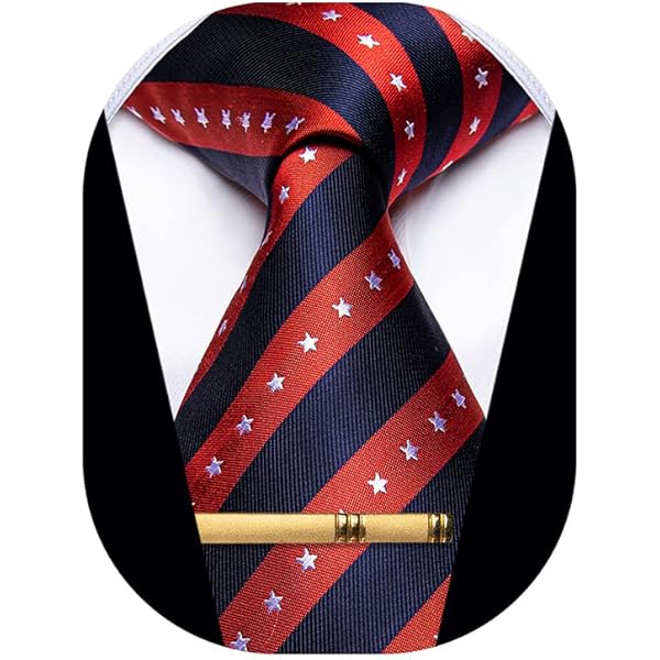 constitution neck tie