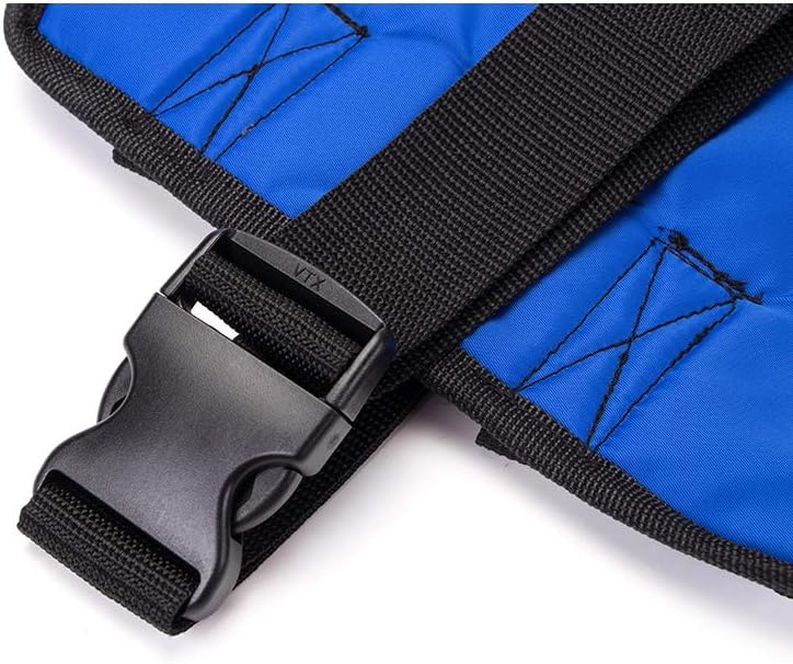 Fushida Stand Assistance Belt - Standing Sling for Transfer - Padded Patient Lift Sling Stand Assist Sling 300lb Weight, Quicker Easier Safer Transfers & Toileting(FYH290-BLUE): Health & Personal Care