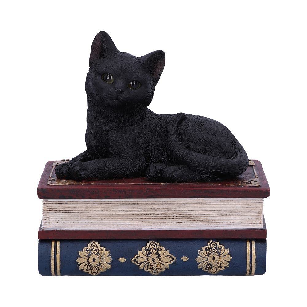 Nemesis Now Salems Spells Witches Familiar Black Cat and Spellbook Box