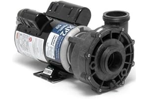 Gecko 06120500-2040 Flo-Master XP2 2 Horsepower 230 Volts, 2 Speed High Performance Pump