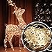 Autolizer 100 LED Warm White Fairy String Lights Lamp for Xmas Tree Holiday Wedding Party Decoration Halloween Showcase Displays Restaurant or Bar and Home Garden - Control up to 8 Modes