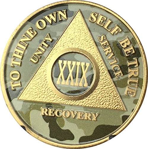 29 Year AA Medallion Camo Gold Plated Anniversary Chip Camouflage Color