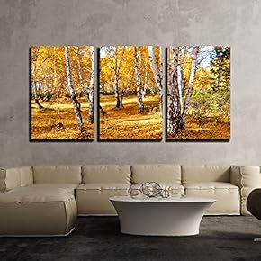 3 Piece Canvas Wall Art - Nature Altaya Pleases Eye of The Artist in Any Season of The Year - Modern Home Art Stretched and Framed Ready to Hang - 16"x24"x3 Panels