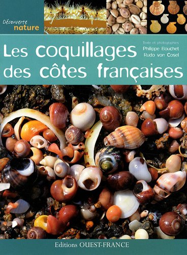 Les  coquillages des côtes françaises