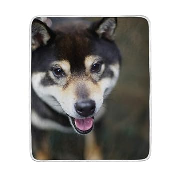 Amazoncom Cute Shiba Inu Puppy Dog Throw Blanket Soft Warm