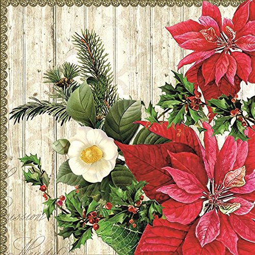 POINSETTIA HOLLY LEAVES CHRISTMAS EMBOSSED 13