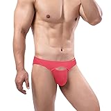 ZONBAILON Mens Sexy Front Opening Fly Access Briefs