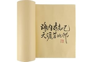 HOIGON Rouleau de papier de calligraphie chinoise japonaise, papier sumi mûr semi-brut sans grilles, rouleau de papier à lett