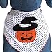Halloween Dog Bandana with Pumpkin Witch Applique 100% Cotton (Large)
